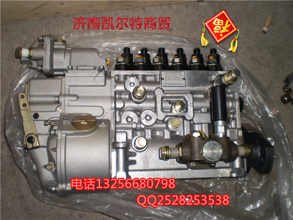 VG1560080021國產(chǎn)高壓噴油泵帶K型調(diào)速器/VG1560080021