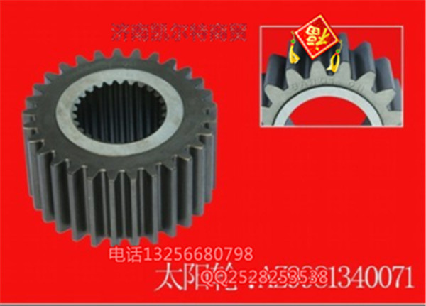 WG9981340071-太陽(yáng)輪 (Z=19)/WG9981340071