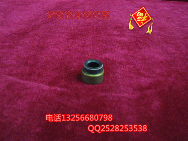 VG2600040114,氣門閥桿密封套,濟(jì)南凱爾特商貿(mào)有限公司
