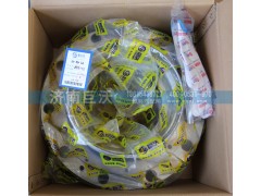 AZ9981340309,后輪轂總成,濟南巨沃汽車零部件有限公司