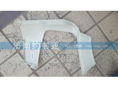 WG1664245003,保險(xiǎn)杠左段T5G,濟(jì)南約書(shū)亞汽車配件有限公司（原華魯信業(yè)）