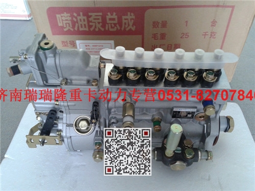 612600081169,高壓油泵,濟南瑞隆工貿(mào)重卡動力專營