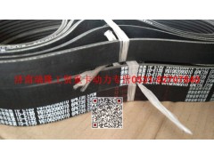 VG1062090010,多楔帶皮帶,濟南瑞隆工貿(mào)重卡動力專營