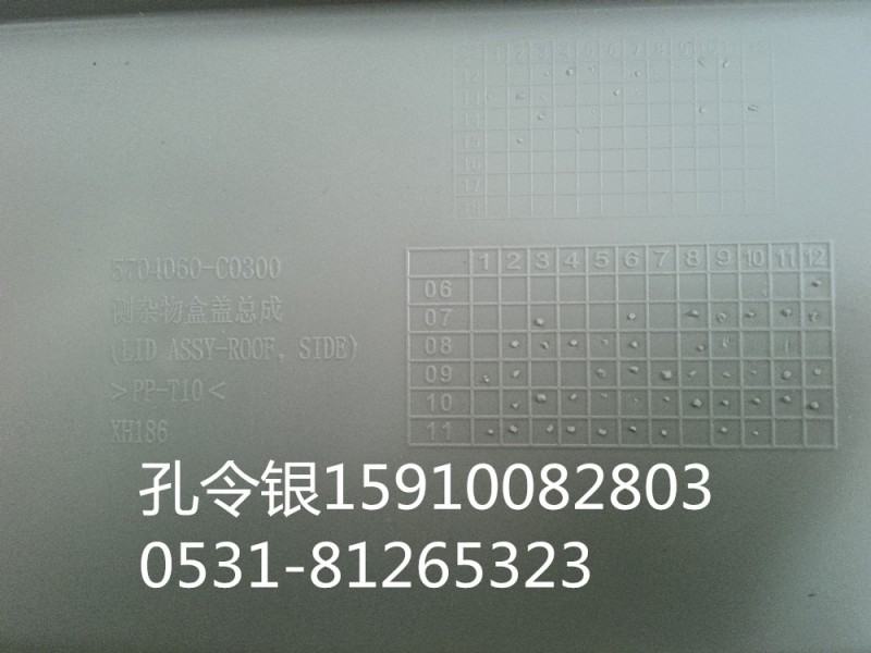 5704060-C0300,前頂棚側(cè)雜物盒蓋,濟(jì)南隆旭汽車配件有限公司