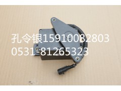 1019032K,后置油門傳感器P12發(fā)動機,濟南隆旭汽車配件有限公司