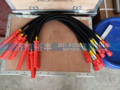 612600190948,高壓線束612600190948,濟南裕豐汽車配件銷售中心