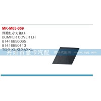 保險(xiǎn)杠小方蓋81416850065,81416850114