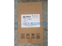 WG9725190102,空氣濾芯,濟(jì)南約書亞汽車配件有限公司（原華魯信業(yè)）