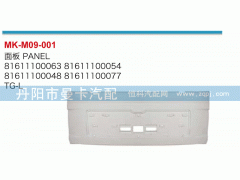 面板81611100063，81611100054