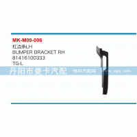 81416100333,杠邊條,丹陽市曼卡汽車部件有限公司