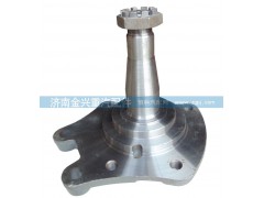AZ9100413066（3067）,碟剎09款轉(zhuǎn)向節(jié)總成,濟(jì)南聯(lián)樂汽車零部件有限公司