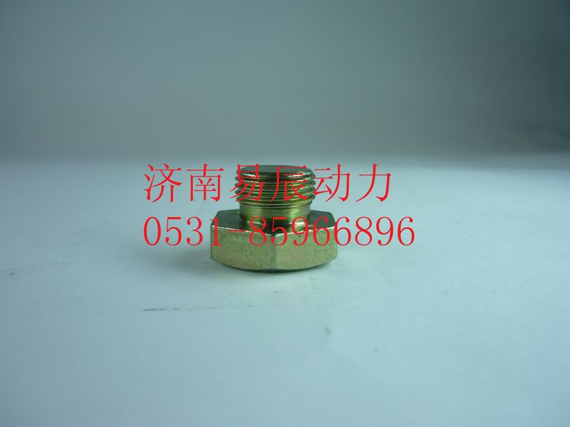 190003962014,六角頭螺塞,濟(jì)南易辰動力汽車配件公司