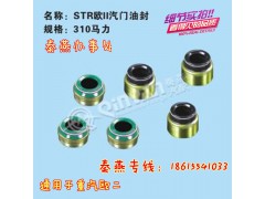 310馬力氣門油封,310馬力氣門油封,濟南凱爾特商貿(mào)有限公司