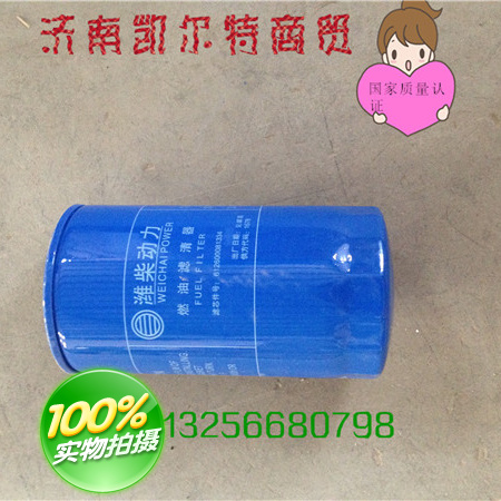 0818重汽豪沃斯太爾金王子濾芯6100070005/6100070005