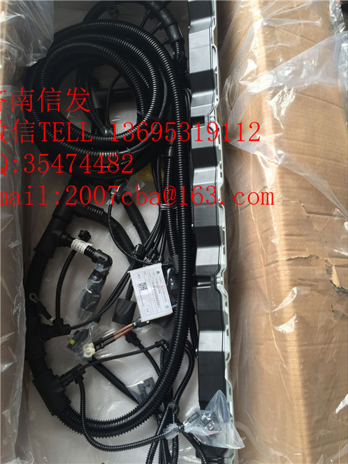 812W25424-6365重汽T7H發(fā)動機線束/812W25424-6365重汽T7H發(fā)動機線束