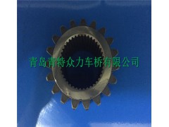 ZL300S1-2405002A,青特車橋300車橋太陽(yáng)輪,青島青特眾力車橋有限公司