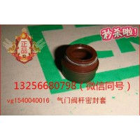 供VG1246050027重汽豪沃斯太爾金王子發(fā)動(dòng)機(jī)氣門(mén)油封