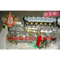 供應(yīng)VG1092080120重汽豪沃斯太爾發(fā)動(dòng)機(jī)噴油泵總成