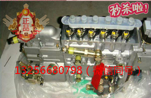 供應(yīng)VG1092080120重汽豪沃斯太爾發(fā)動(dòng)機(jī)噴油泵總成/VG1092080120