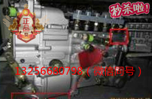 VG1093080180,發(fā)動(dòng)機(jī)噴油泵總成,濟(jì)南凱爾特商貿(mào)有限公司