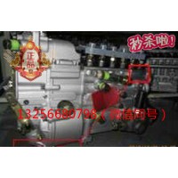供應(yīng)VG1093080180重汽豪沃斯太爾發(fā)動(dòng)機(jī)噴油泵總成