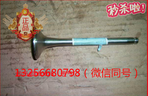 VG1540050015,發(fā)動機進(jìn)氣門,濟(jì)南凱爾特商貿(mào)有限公司