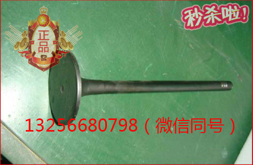 供應(yīng)VG1096050015重汽豪沃斯太爾金王子發(fā)動(dòng)機(jī)進(jìn)氣門(mén)/VG1096050015