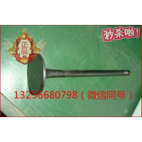 供應(yīng)VG1096050015重汽豪沃斯太爾金王子發(fā)動機(jī)進(jìn)氣門