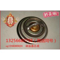 供應VG1246060024重汽豪沃斯塔爾金王子發(fā)動機節(jié)溫器