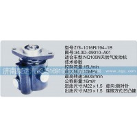 轉(zhuǎn)向泵34.3D-09010-A01濟南泉達汽配