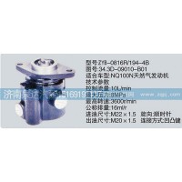 轉(zhuǎn)向泵34.3D-09010-B01濟南泉達汽配