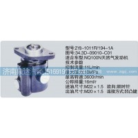 轉(zhuǎn)向泵34.3D-09010-C01濟南泉達汽配