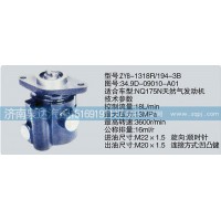 轉(zhuǎn)向泵34.9D-09010-A01濟(jì)南泉達(dá)汽配
