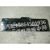 面板中網