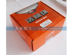 ,天然氣活塞環(huán),濟南騰飛汽配