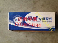 L6000000-PJZW,錫柴發(fā)動機(jī)曲軸主瓦連桿瓦,濟(jì)南華豪汽車配件有限公司
