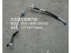 1B24981209030,儲(chǔ)—蒸管路總成,北京遠(yuǎn)大歐曼汽車配件有限公司