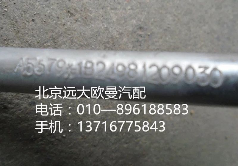 1B24981209030,儲(chǔ)—蒸管路總成,北京遠(yuǎn)大歐曼汽車配件有限公司