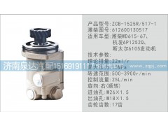 612600130517,轉(zhuǎn)向泵,濟南泉達汽配有限公司