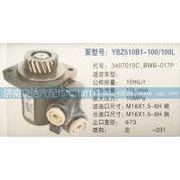 轉(zhuǎn)向泵3407010C-BWB-017P濟(jì)南泉達(dá)汽配