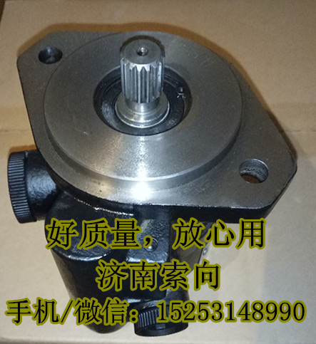 13028283,助力泵/葉片泵/齒輪泵,濟南索向汽車配件有限公司