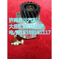 大連匯圓配套濰柴WP10發(fā)動機(jī)/轉(zhuǎn)向齒輪泵/轉(zhuǎn)向泵