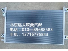 1b24981280051,冷凝器總成,北京遠大歐曼汽車配件有限公司