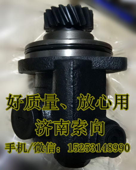 3406ZB1-001(1),轉(zhuǎn)向助力泵/齒輪泵/巨力泵,濟(jì)南正宸動(dòng)力汽車(chē)零部件有限公司