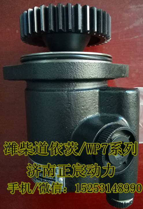 610800130120,轉(zhuǎn)向助力泵/葉片泵/齒輪泵,濟(jì)南正宸動(dòng)力汽車零部件有限公司