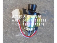 1B24937800001,點(diǎn)煙器,北京遠(yuǎn)大歐曼汽車配件有限公司