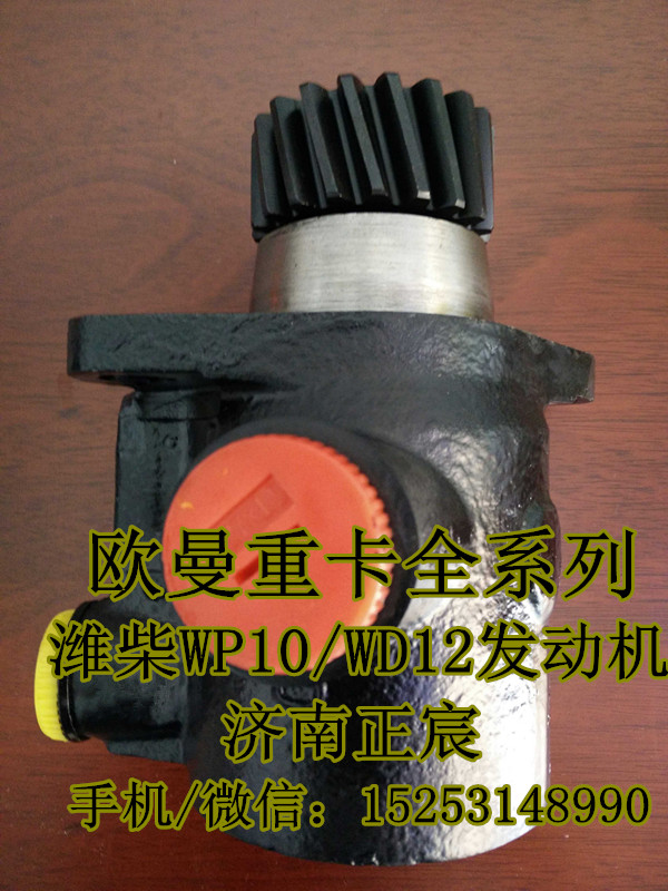1325334008004,助力泵/葉片泵/齒輪泵,濟(jì)南正宸動(dòng)力汽車零部件有限公司