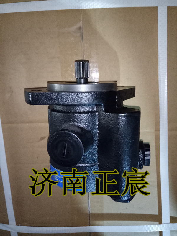 3407020-85D,助力泵/葉片泵/齒輪泵/轉(zhuǎn)子泵,濟(jì)南正宸動(dòng)力汽車(chē)零部件有限公司