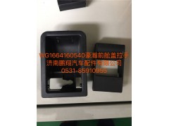 WG1664160540,豪瀚面罩鎖拉手,濟南鵬翔汽車配件有限公司