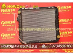 LG9704530160,水箱散熱器總成,濟南飛龍汽車零部件有限公司